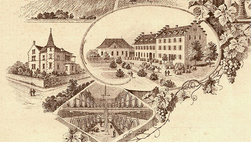 Zeichnungen Weingut Zotz Gebäude und Umgebung 19. Jahrhundert