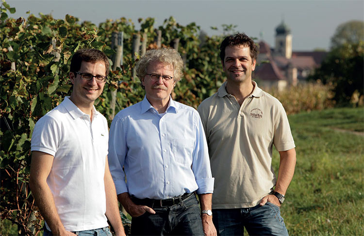 Julian, Martin und Michael Zotz im Weinberg