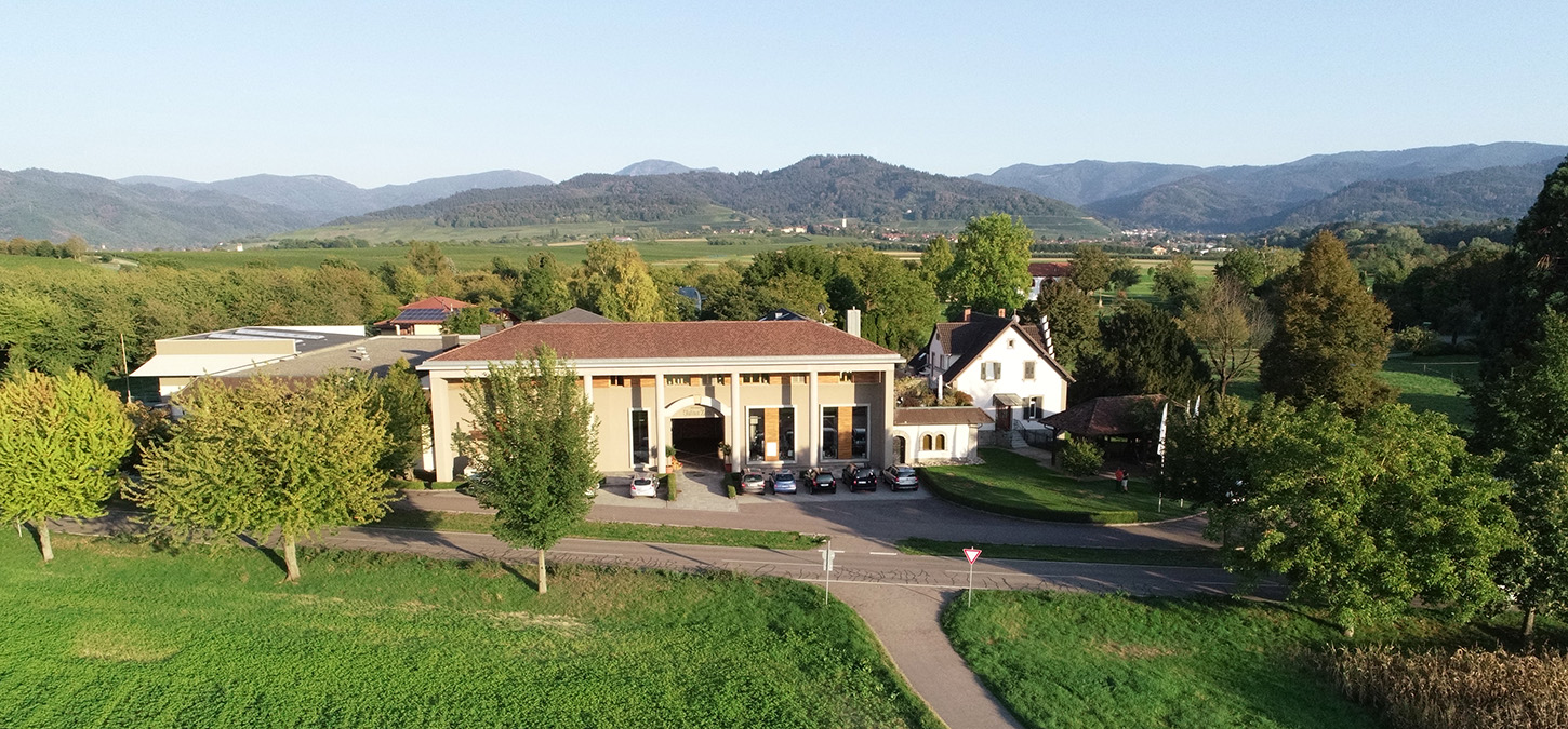 Luftbild Weingut Zotz Gebäude und Umgebung