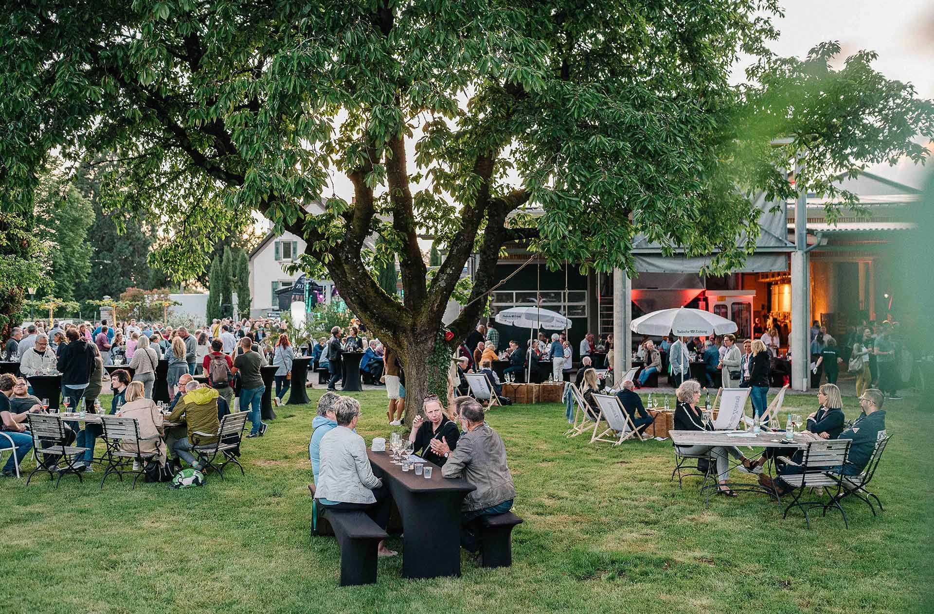 Veranstaltung Gartenparty Weingut Zotz Heitersheim